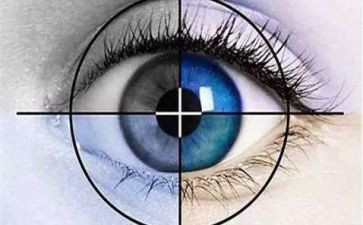 关于视力调查报告6篇