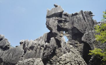 石林作文600字6篇