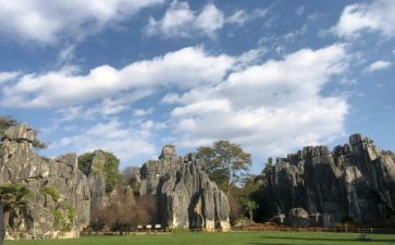 石林作文模板8篇