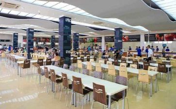 关于食堂的工作总结5篇