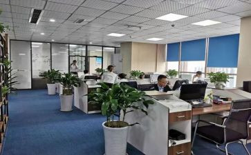 税务师事务所心得体会5篇