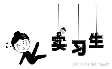 实习报告总结最新6篇