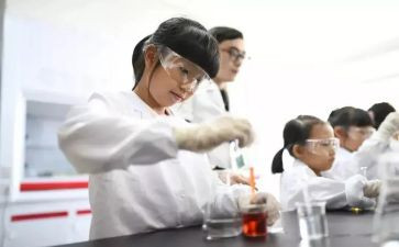 我做了一项小实验作文作文8篇
