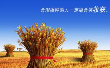 学会计的收获和心得体会6篇