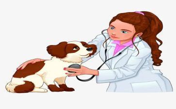 兽医师个人述职报告优质6篇