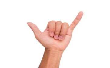 手指歌的教案通用5篇