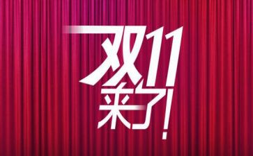 双11客服自我鉴定6篇