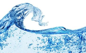 中班数学水果店教案5篇