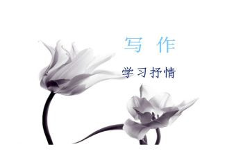 作文抒情600字5篇