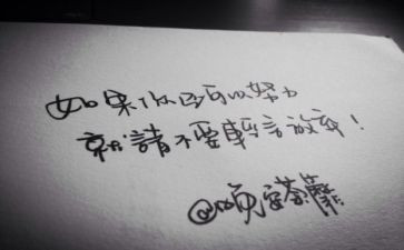 作文抒情800字优质5篇