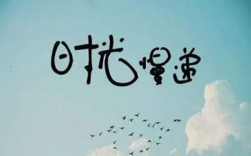 作文抒情800字8篇
