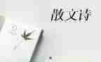 叙事抒情的作文800字5篇