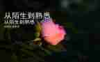 我最熟悉的人作文800字6篇
