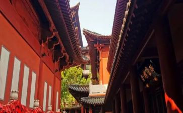 寺管个人述职报告精选8篇