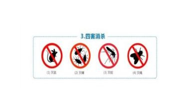 四害工作计划8篇