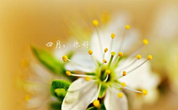 四月讲话稿优秀6篇