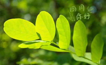 大班四月总结5篇