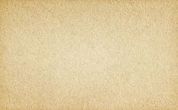 作文素材摘300字7篇