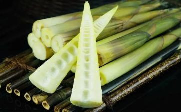 家乡的笋作文7篇