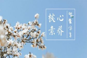 学生学习素养心得体会7篇
