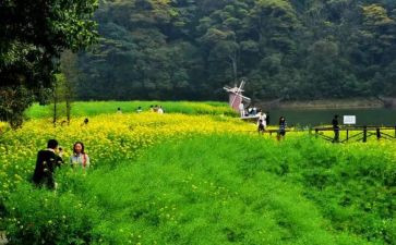 踏青活动方案模板5篇