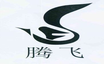 腾飞的作文7篇