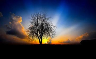 天空作文800字6篇