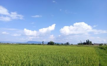 天气气候教案5篇