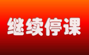 对停课不停学教师工作总结7篇