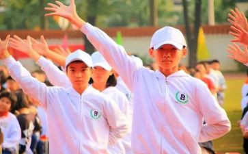 体艺卫工作总结5篇