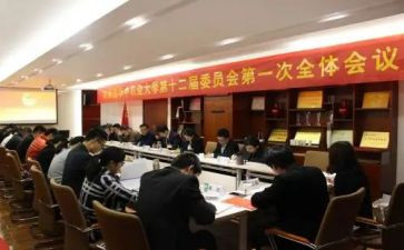 团委会年终总结6篇