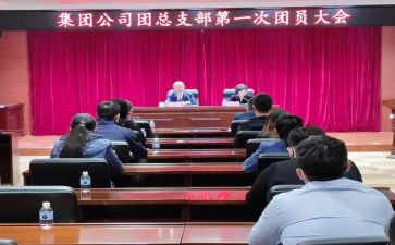 村团总支工作计划优秀8篇