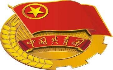团组织建设心得体会5篇