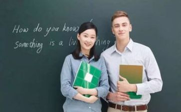幼儿大户外教案最新7篇