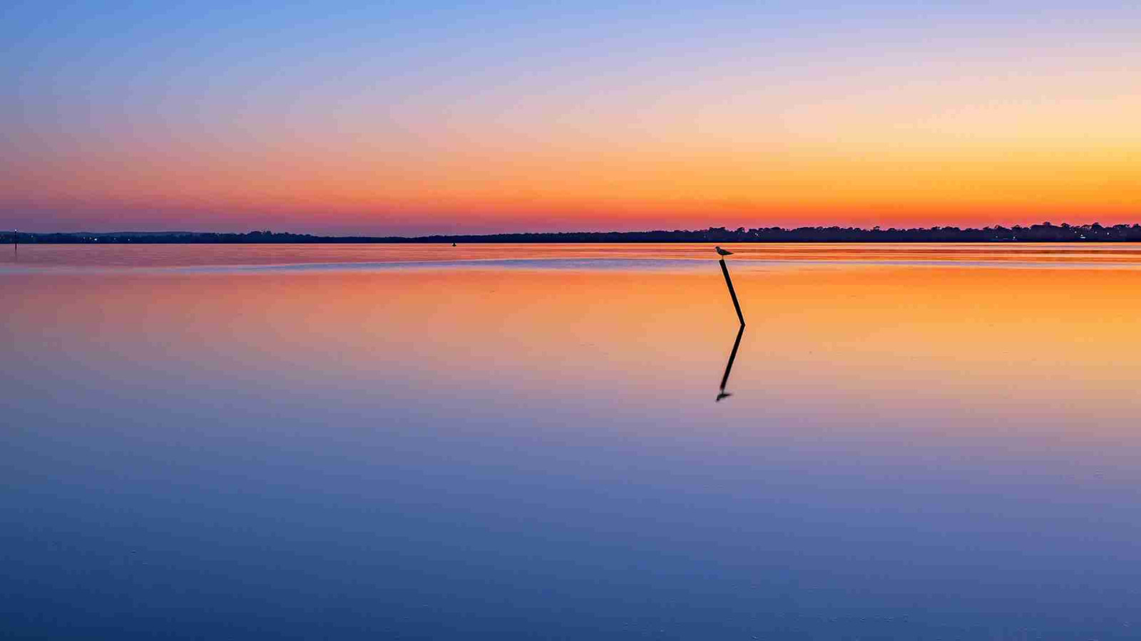 难以忘怀的爱作文8篇