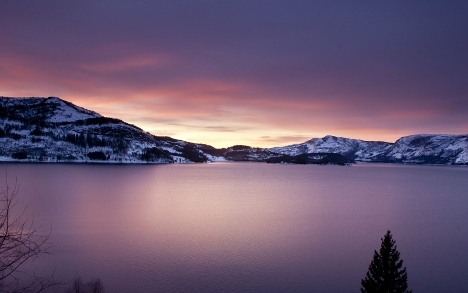 难以忘怀的爱作文最新8篇