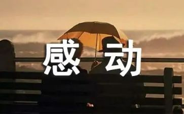 我真的__感动__作文7篇