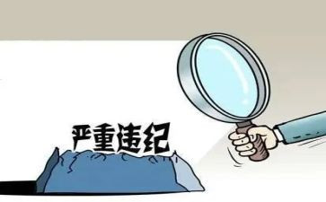 违纪警示录心得体会8篇