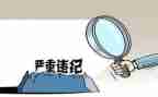 违纪警示录心得体会8篇