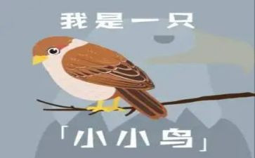 小班教案语言小小鸟教案5篇