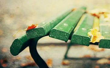 我在变作文300字作文通用6篇