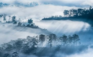 重返雾都读后感7篇