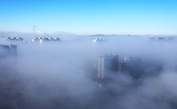 雾都孤儿读后感400字7篇