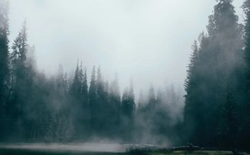 雾都的孤儿读后感参考6篇