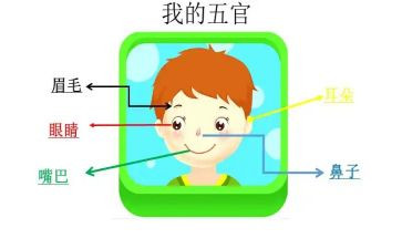 五官科个人总结8篇