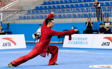 学武术作文通用8篇