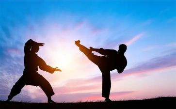 学武术作文6篇