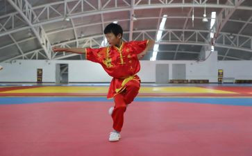 武术协会工作计划6篇