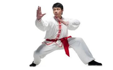 学武术作文优秀8篇