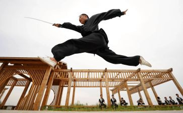 学武术操的心得体会6篇